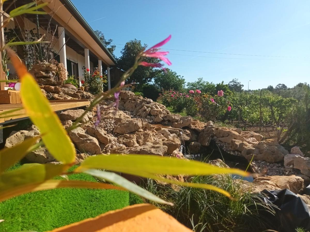 Casita da Floresta Ferreira do Zêzere Exterior foto