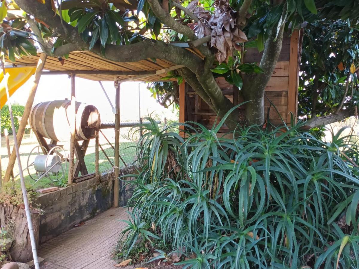 Casita da Floresta Ferreira do Zêzere Exterior foto